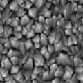 SEM of crystalline ITO coating
